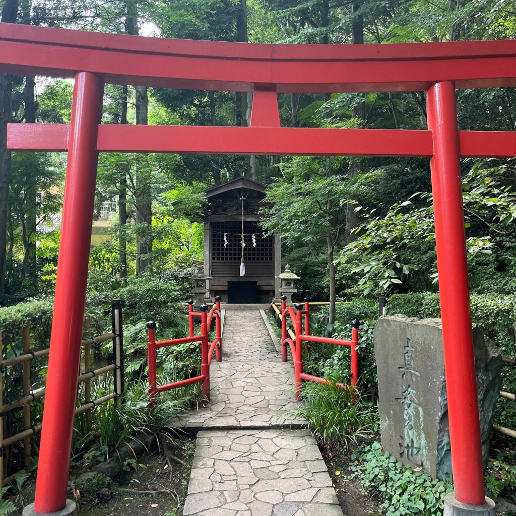 実際訪問したユーザーが直接撮影して投稿した東元町名水 / 湧水百選お鷹の道・真姿の池湧水群の写真