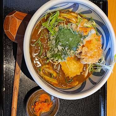 釜あげ饂飩 唐庵のundefinedに実際訪問訪問したユーザーunknownさんが新しく投稿した新着口コミの写真