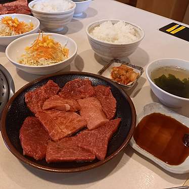 実際訪問したユーザーが直接撮影して投稿した羽鳥肉料理駒形屋の写真