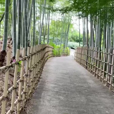 実際訪問したユーザーが直接撮影して投稿した栄町寺高徳院の写真