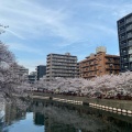 実際訪問したユーザーが直接撮影して投稿した河川大岡川の写真