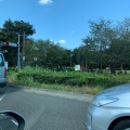 実際訪問したユーザーが直接撮影して投稿した多磨町公園武蔵野公園の写真