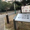 実際訪問したユーザーが直接撮影して投稿した大崎公園大崎光の滝公園の写真