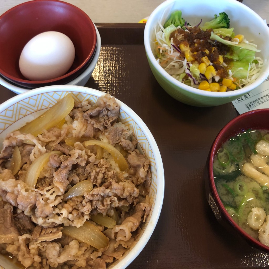 ユーザーが投稿した牛丼ランチの写真 - 実際訪問したユーザーが直接撮影して投稿した小正牛丼すき家 200号飯塚嘉穂店の写真