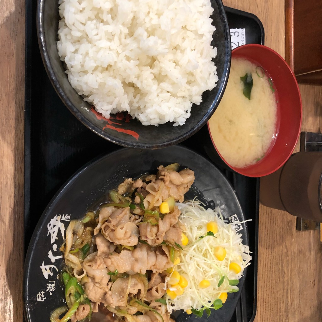 実際訪問したユーザーが直接撮影して投稿した富士見丼もの伝説のすた丼屋 千葉富士見店の写真