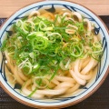 かけ - 実際訪問したユーザーが直接撮影して投稿した高見丘うどん丸亀製麺 ららぽーと磐田店の写真のメニュー情報