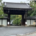 実際訪問したユーザーが直接撮影して投稿した泉涌寺山内町寺泉涌寺の写真