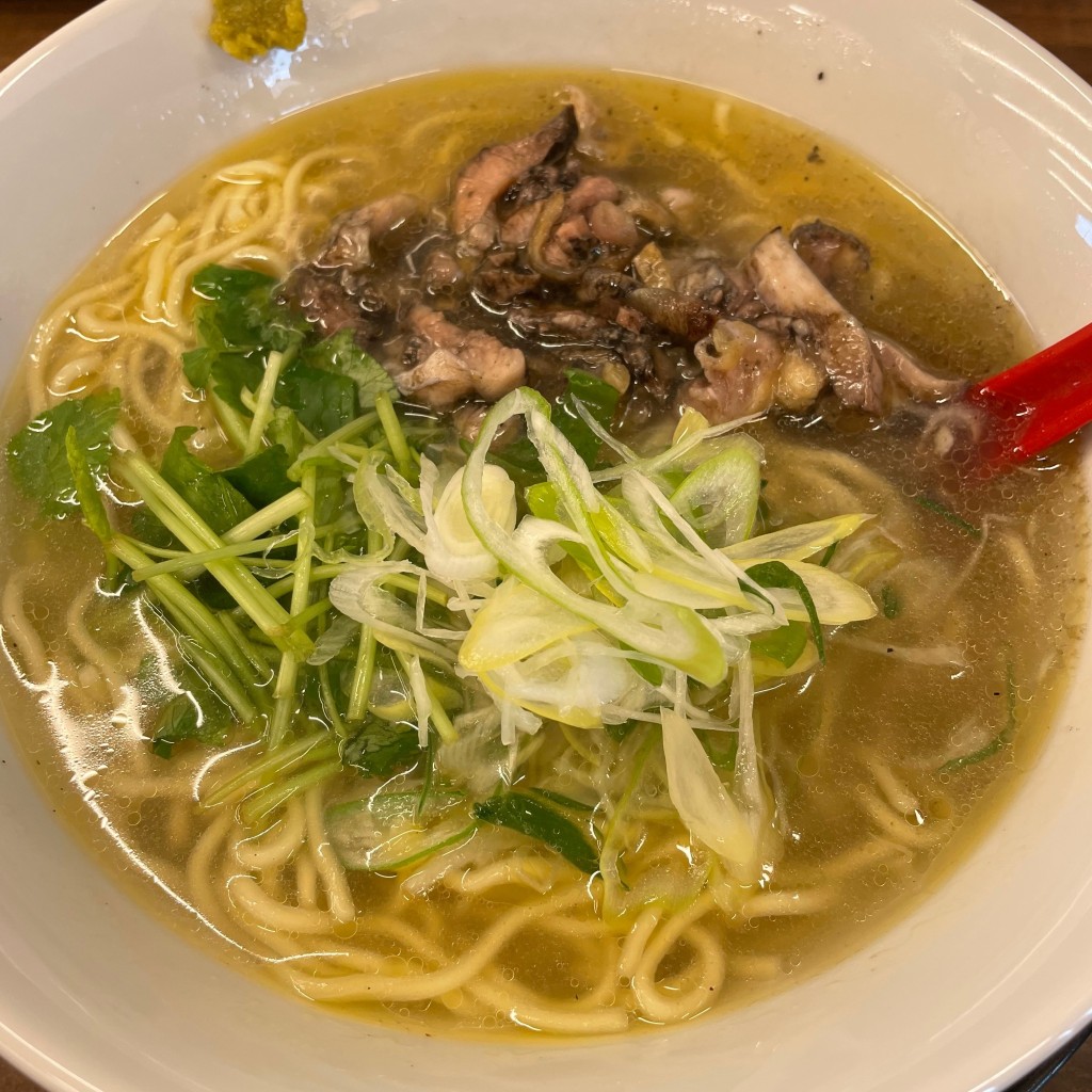 ユーザーが投稿した軍鶏麺塩味の写真 - 実際訪問したユーザーが直接撮影して投稿した森戸ラーメン専門店支那そば 炭鶏麺 森戸の写真