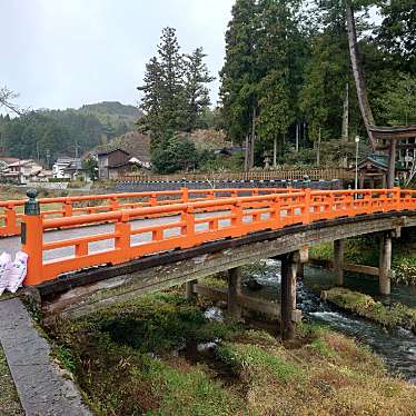 実際訪問したユーザーが直接撮影して投稿した八雲町熊野橋神橋 熊野大社の写真