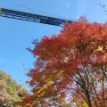 実際訪問したユーザーが直接撮影して投稿した天下野町橋竜神大吊橋の写真