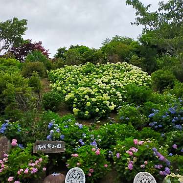 実際訪問したユーザーが直接撮影して投稿した北公園美咲花山園の写真