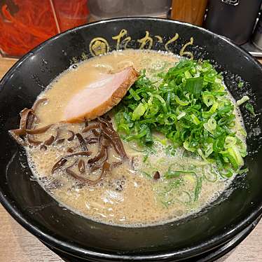 実際訪問したユーザーが直接撮影して投稿した小杉町つけ麺専門店つけめんTETSU 博多豚骨たかくら 武蔵小杉東急スクエア店の写真