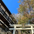 実際訪問したユーザーが直接撮影して投稿した早崎町神社竹生島神社の写真