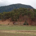 実際訪問したユーザーが直接撮影して投稿した三須古墳作山古墳の写真