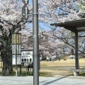 実際訪問したユーザーが直接撮影して投稿した馬場町公園鶴岡公園の写真