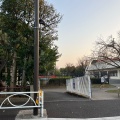 実際訪問したユーザーが直接撮影して投稿した菊名プール菊名池公園プールの写真