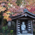 実際訪問したユーザーが直接撮影して投稿した平賀寺本土寺の写真