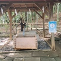 実際訪問したユーザーが直接撮影して投稿した三山神社二宮神社の写真