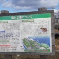 実際訪問したユーザーが直接撮影して投稿した玉島公園溜川公園の写真