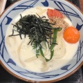 実際訪問したユーザーが直接撮影して投稿した北八条西うどん丸亀製麺 イオン札幌桑園店の写真