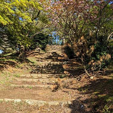 実際訪問したユーザーが直接撮影して投稿した河井町公園一本松公園の写真