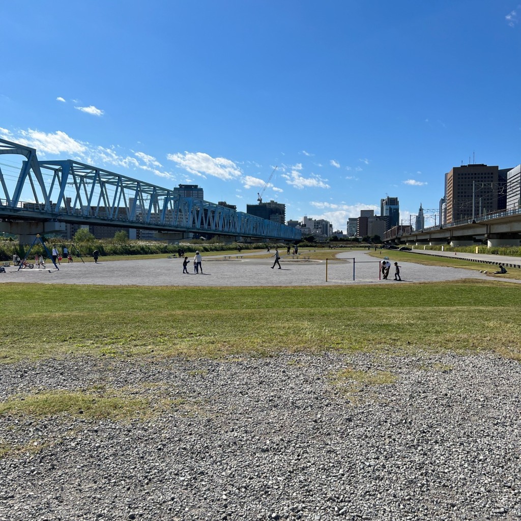 実際訪問したユーザーが直接撮影して投稿した仲六郷公園多摩川緑地公園(バイオリン公園)の写真