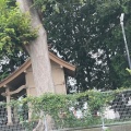 実際訪問したユーザーが直接撮影して投稿した厚原神社愛鷹神社の写真