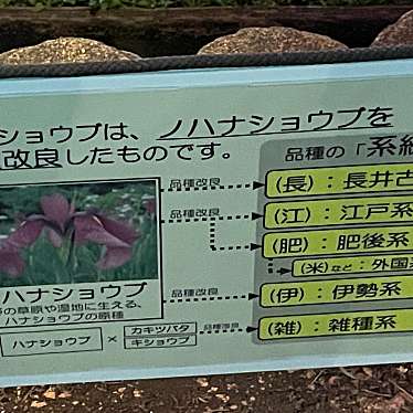 実際訪問したユーザーが直接撮影して投稿した谷中公園しょうぶ沼公園の写真