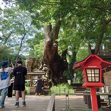 実際訪問したユーザーが直接撮影して投稿した元箱根神社来宮神社の写真