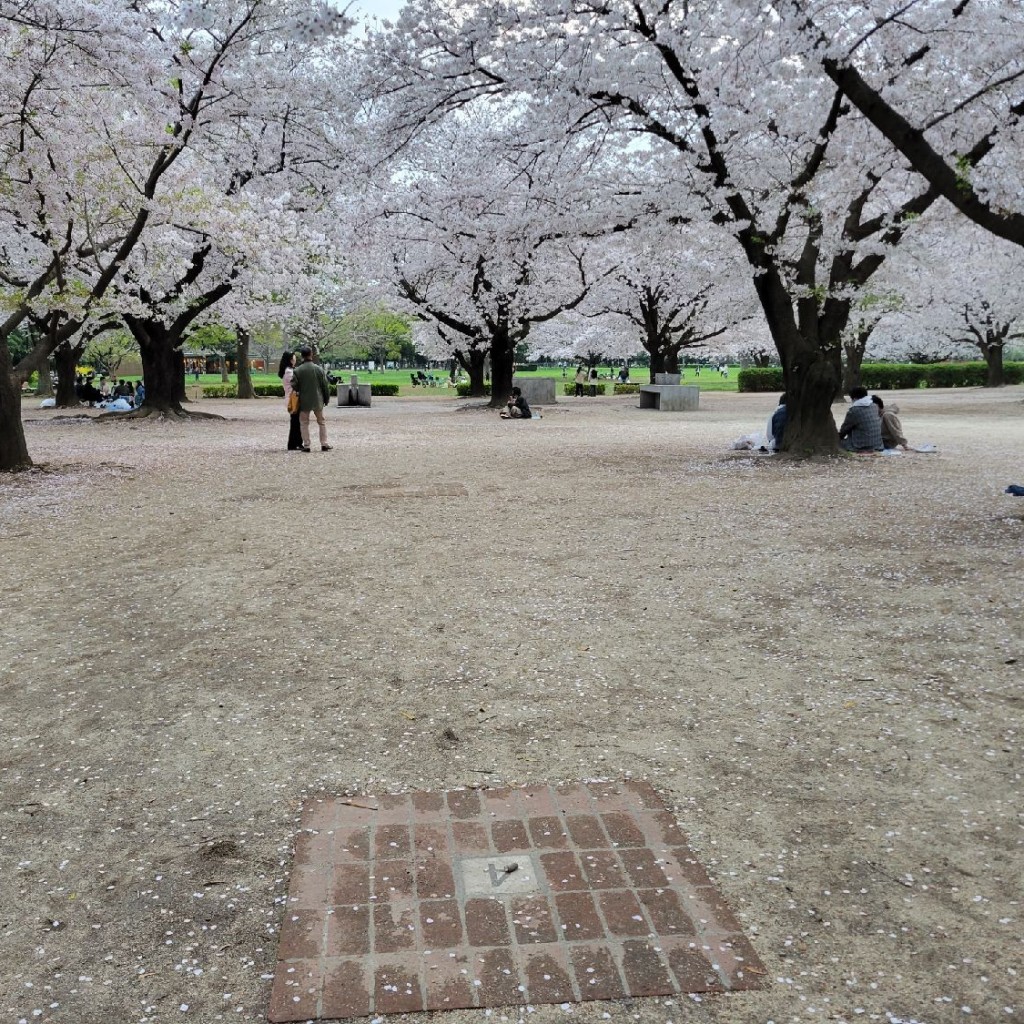 実際訪問したユーザーが直接撮影して投稿した平野バーベキュー場木場公園バーベキュー広場の写真