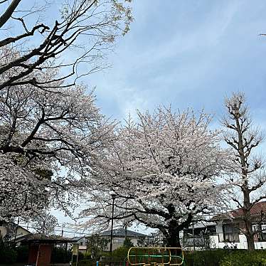 富士見台公園のundefinedに実際訪問訪問したユーザーunknownさんが新しく投稿した新着口コミの写真