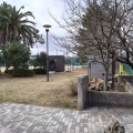 実際訪問したユーザーが直接撮影して投稿した舞浜公園大三角公園の写真