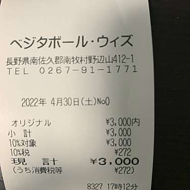 実際訪問したユーザーが直接撮影して投稿した野辺山プラネタリウム / 天文台南牧村農村文化情報交流館 ベジタボール・ウィズの写真