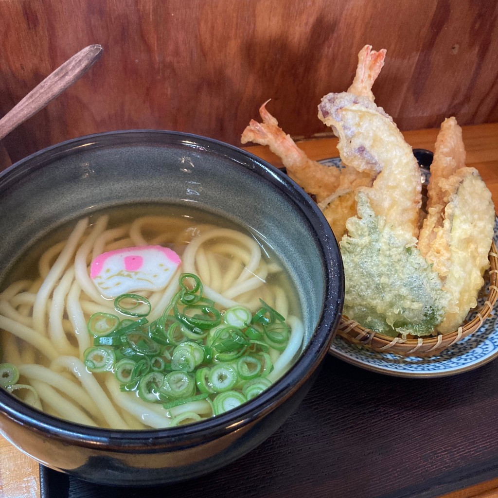 ユーザーが投稿した天ぷらうどんの写真 - 実際訪問したユーザーが直接撮影して投稿した土佐山田町楠目うどんまるしんの写真