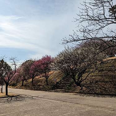 実際訪問したユーザーが直接撮影して投稿した布施公園あけぼの山農業公園の写真