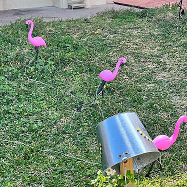 実際訪問したユーザーが直接撮影して投稿した豊崎海の家Pink Flamingoの写真