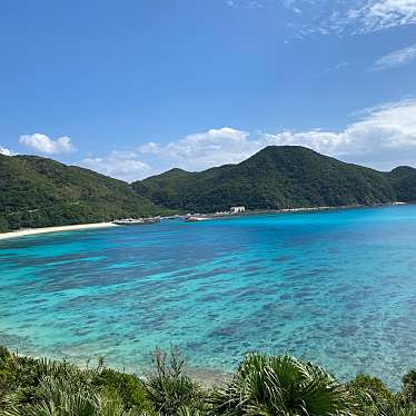 実際訪問したユーザーが直接撮影して投稿した阿波連海水浴場 / 海浜阿波連展望台の写真