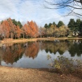 実際訪問したユーザーが直接撮影して投稿した向陽台公園彩の森入間公園の写真