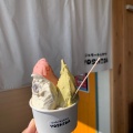 【カップ】 トリプル - 実際訪問したユーザーが直接撮影して投稿した丸山ノ内善之丞組アイスクリームGelato & Cafe Yoshidaの写真のメニュー情報
