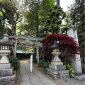 実際訪問したユーザーが直接撮影して投稿した奥沢神社奥沢神社の写真