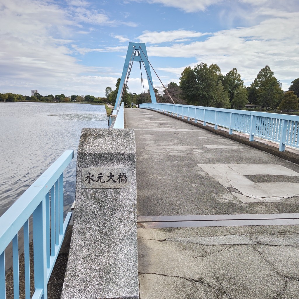 実際訪問したユーザーが直接撮影して投稿した水元公園橋水元大橋の写真