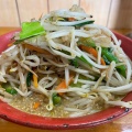 実際訪問したユーザーが直接撮影して投稿した狩川ラーメン / つけ麺ラーメンショップ椿狩川店の写真