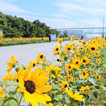 東京都立葛西臨海公園のundefinedに実際訪問訪問したユーザーunknownさんが新しく投稿した新着口コミの写真