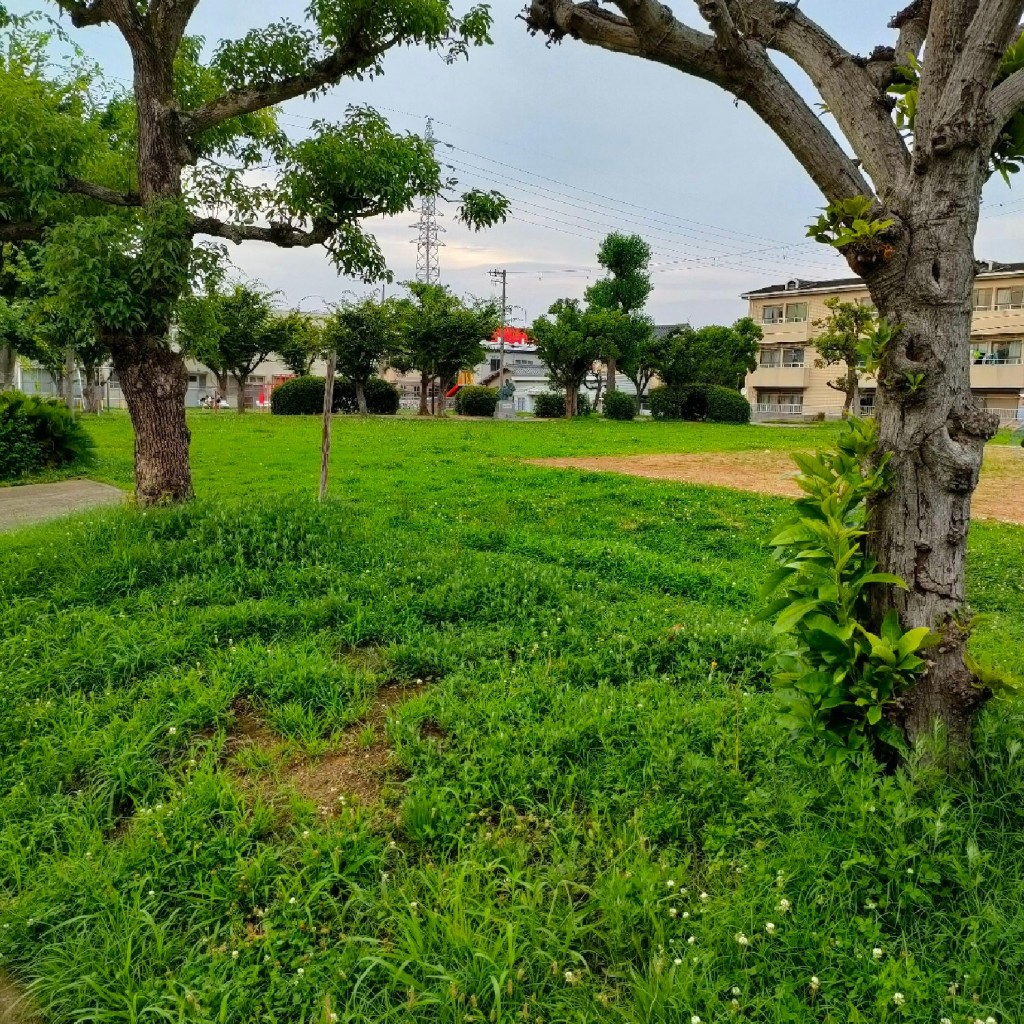 実際訪問したユーザーが直接撮影して投稿した土生町公園東岸和田公園の写真