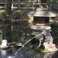 実際訪問したユーザーが直接撮影して投稿した岸町神社調神社の写真