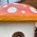 実際訪問したユーザーが直接撮影して投稿した嘉山デザート / ベーカリー菜菓亭 アニバーサリーケーキラボいえいの写真