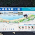 実際訪問したユーザーが直接撮影して投稿した鵠沼海岸公園湘南海岸公園の写真