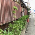 実際訪問したユーザーが直接撮影して投稿した内原お好み焼きんの写真