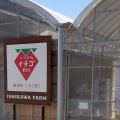 実際訪問したユーザーが直接撮影して投稿した上矢作町下果樹園石川いちご農園(いちご狩り・直売所)の写真