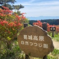 実際訪問したユーザーが直接撮影して投稿した櫛羅山 / 峠葛城山の写真